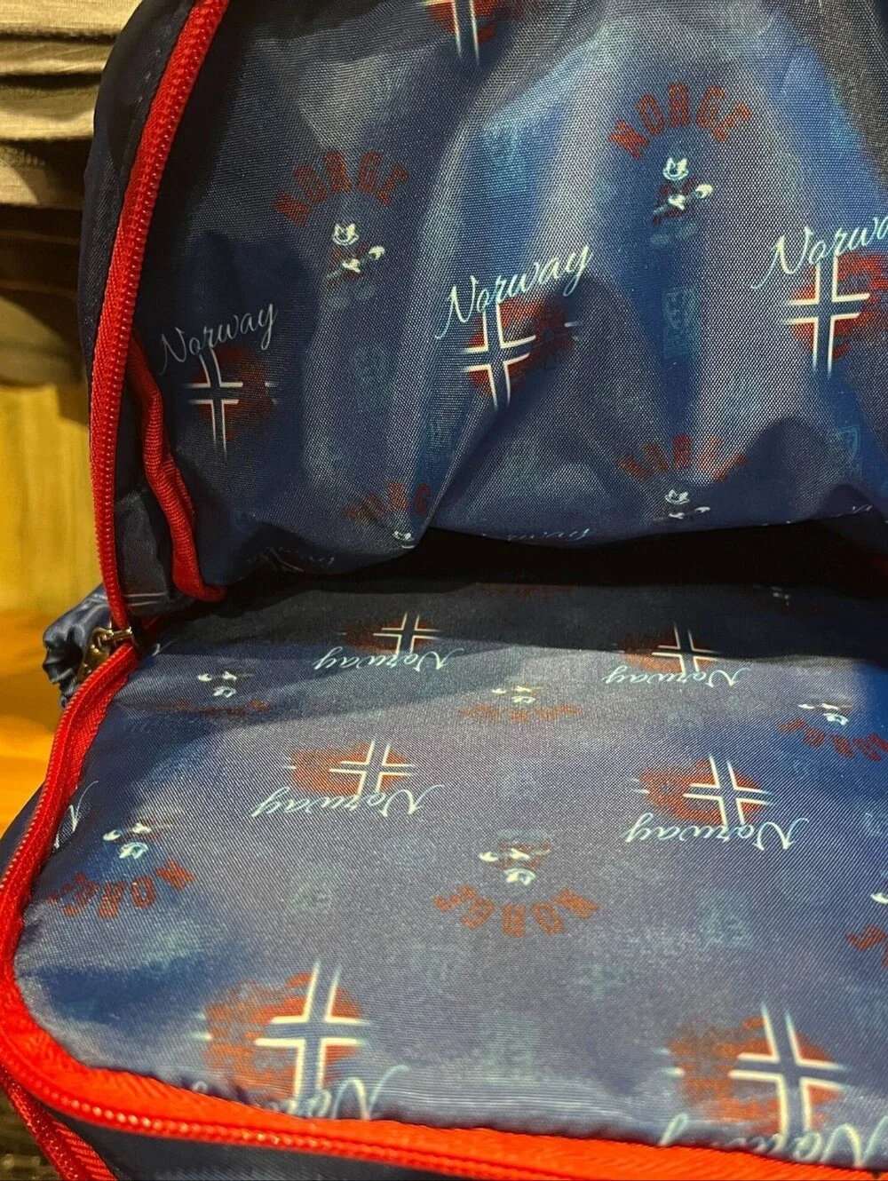 Disney Parks Norge Mickey Lug Bag